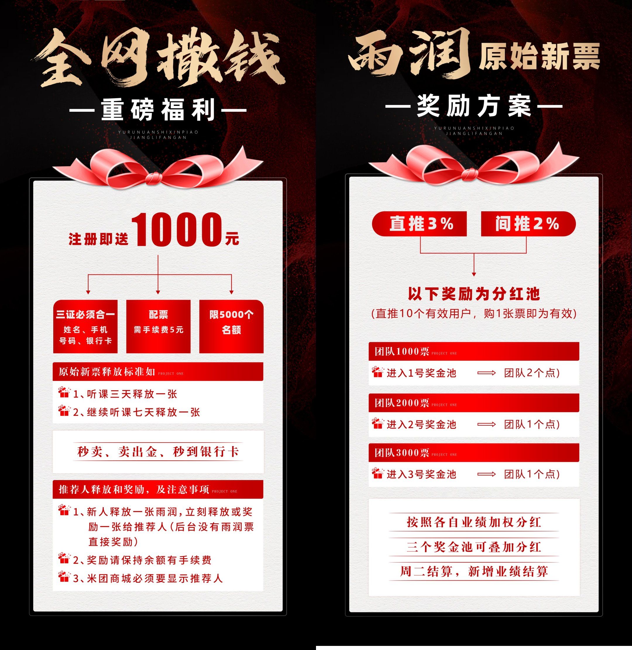 41246a456d20260125235253