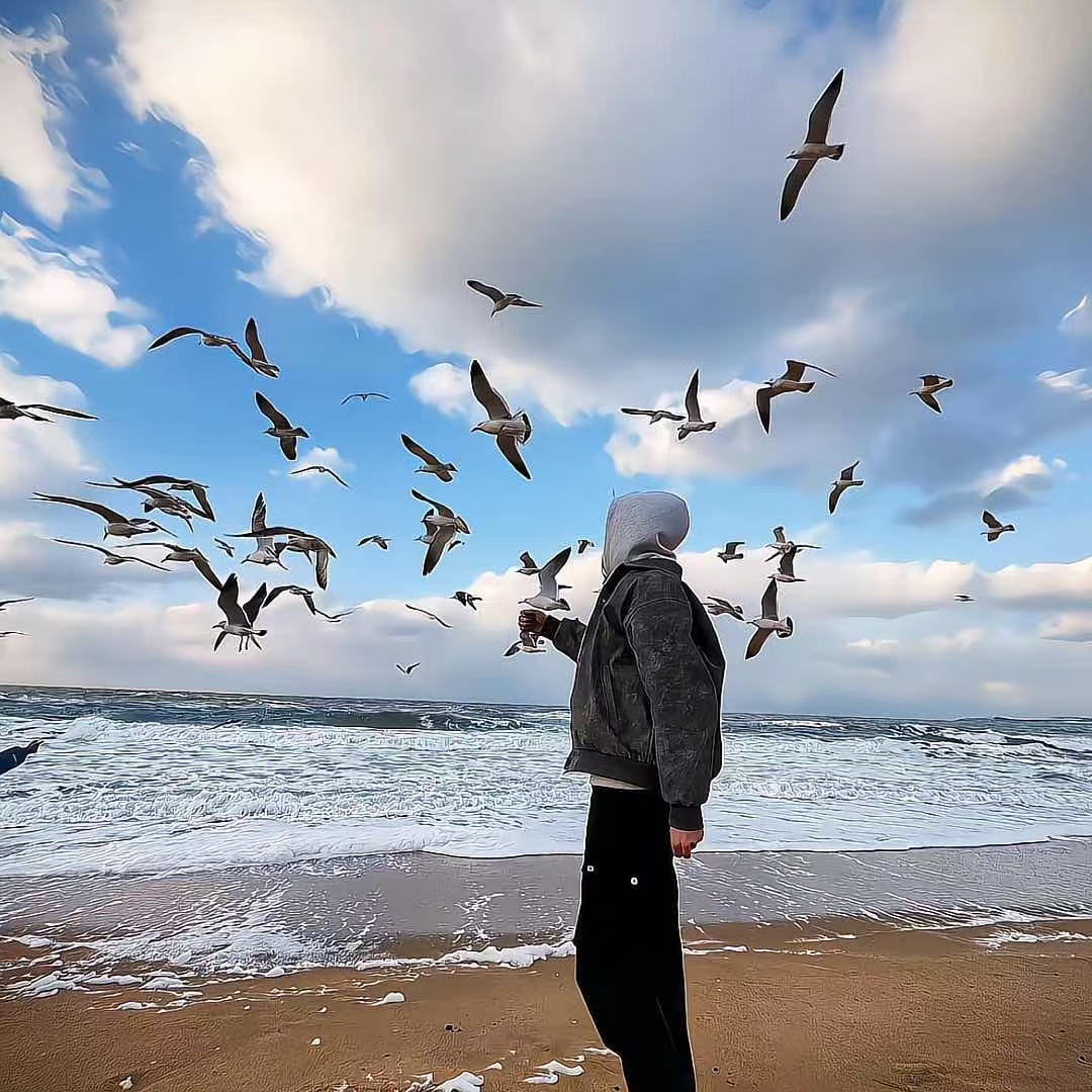 HFG181818的头像-汇一线首码网