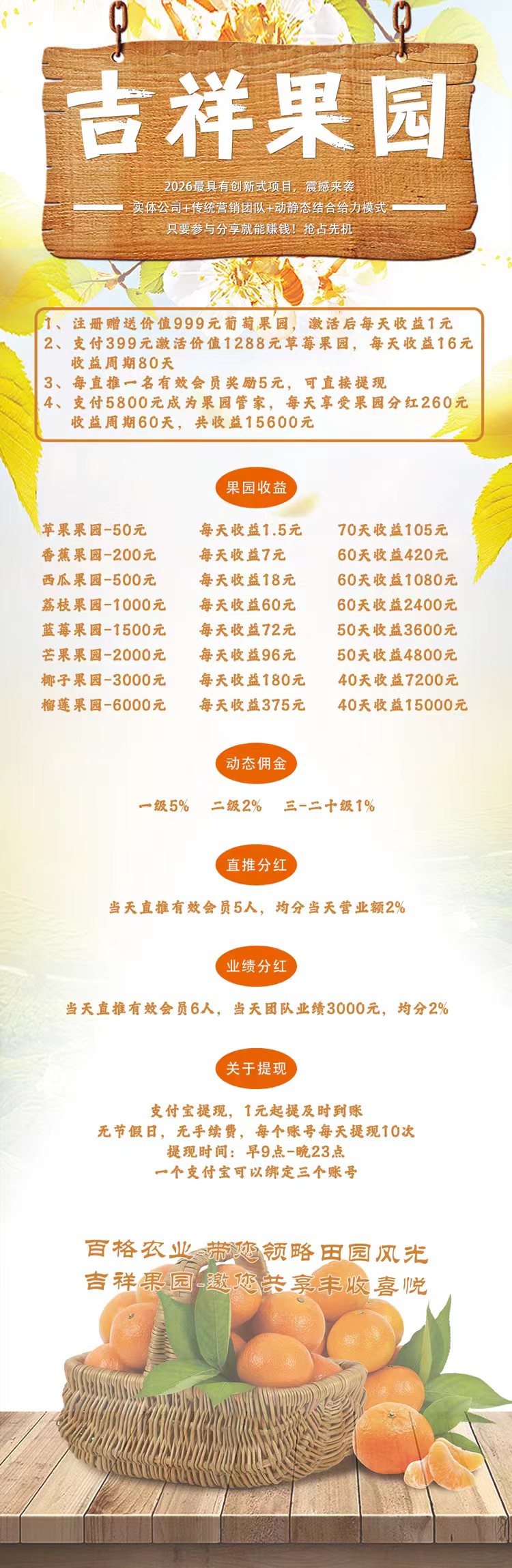 298532cdc220260323113236