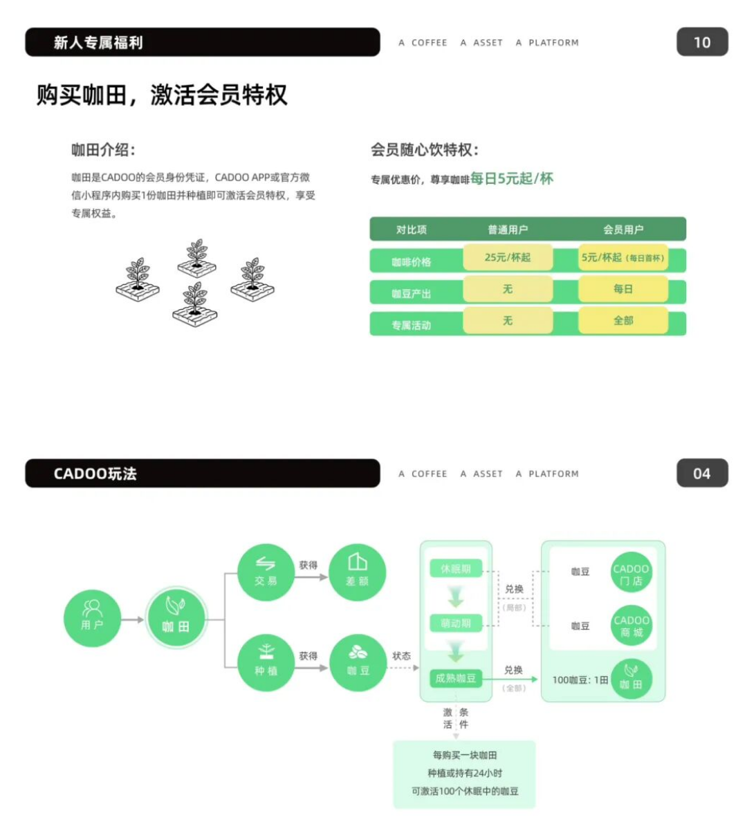 图片[9]-这才是眞正的实体落地！能不能跟着《CADOO》新模式吃上这波红利？-汇一线首码网