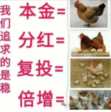 涟游首码零撸MallEX国际电商购物 一键领取，涟门声望生活卷轴模式！-汇一线首码网