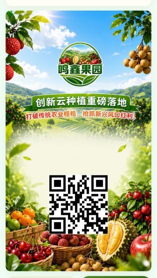 鸣鑫果园今天首码上线注册福利注册赠送杨梅树-汇一线首码网