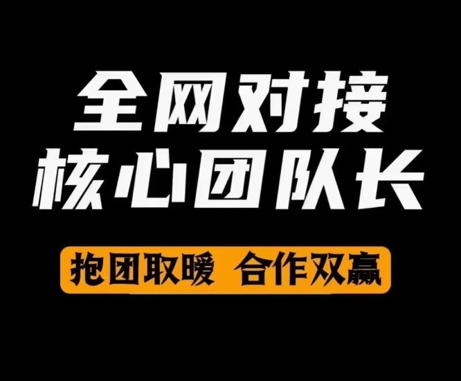 首码启动 Nexus AI Token 长期稳定吃肉项目扶持置顶对接团队-汇一线首码网